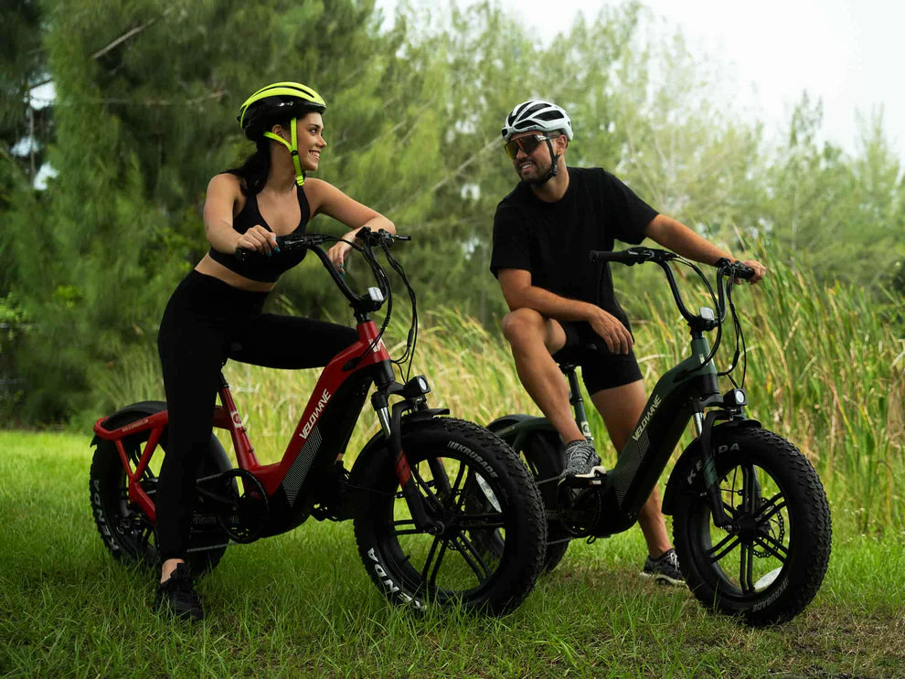 Velowave Pony 750w 48v 15ah Preorden