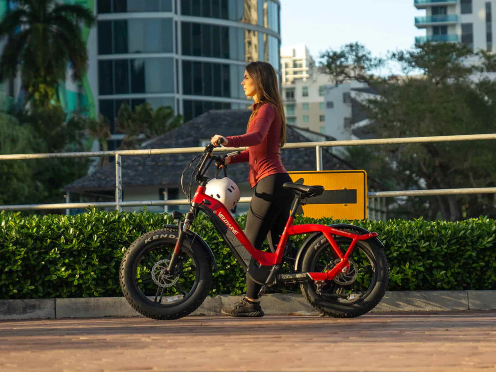 Velowave Pony 750w 48v 15ah Preorden