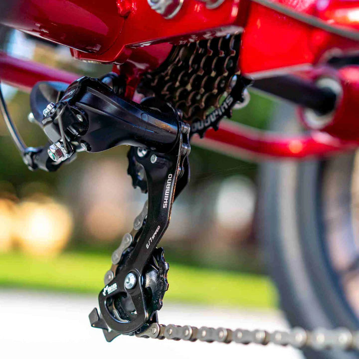 Triciclo Emojo Caddy Pro 500w 48v